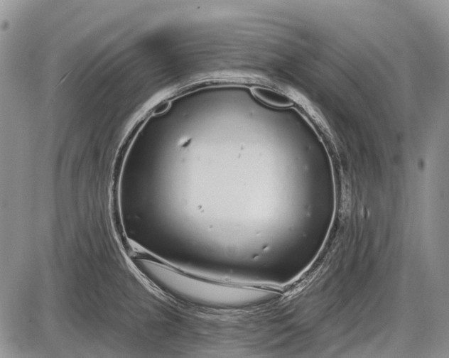 X0000085001237200703191041