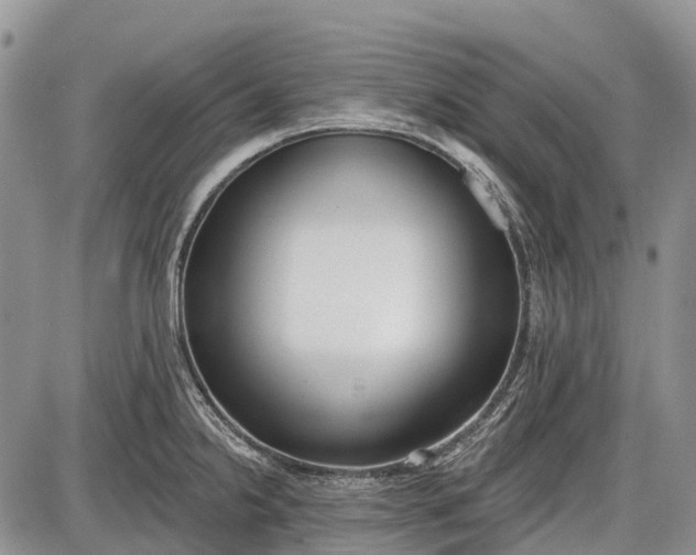 X0000085001238200703191041