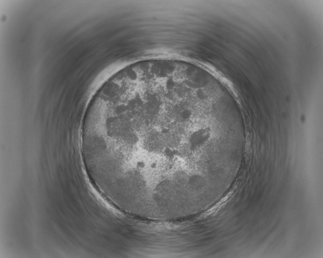 X0000085001239200703191041