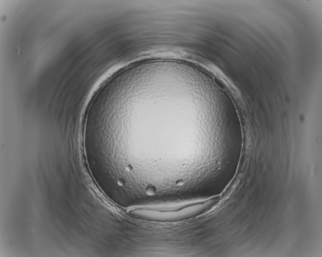 X0000085001240200703191041