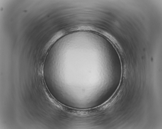 X0000085001241200703191042