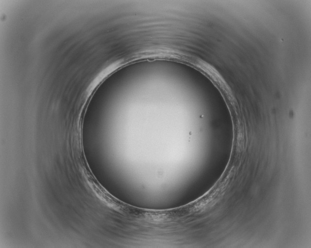 X0000085001242200703191042