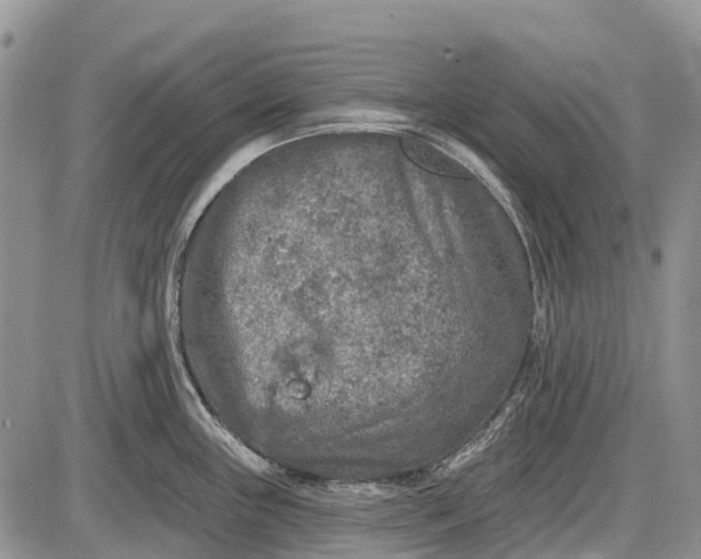 X0000085001243200703191042