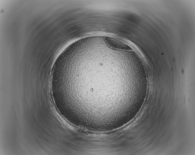 X0000085001244200703191042