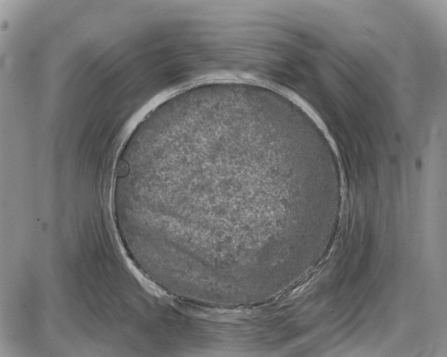 X0000085001245200703191042