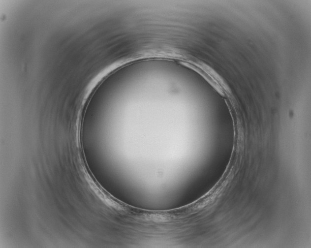 X0000085001246200703191042