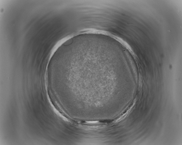 X0000085001247200703191042