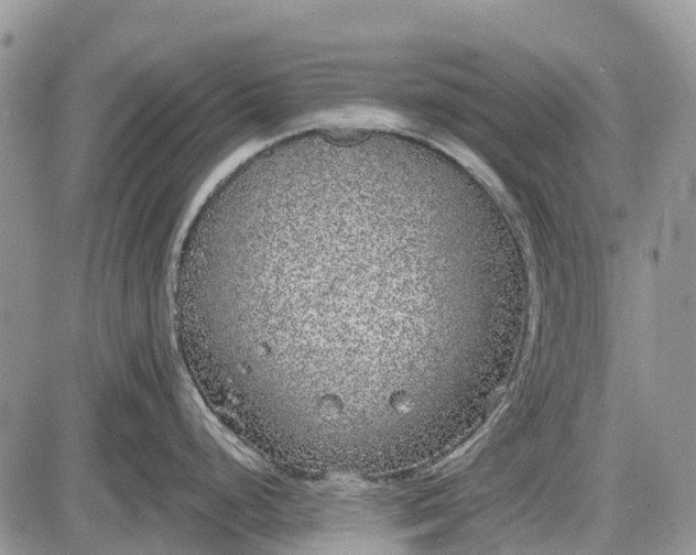 X0000085001248200703191042