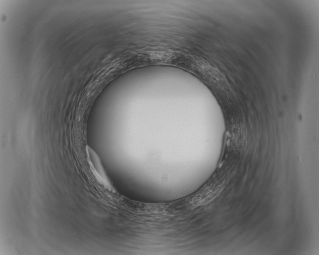 X0000085001249200703191041