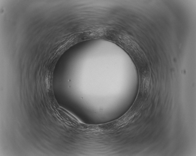 X0000085001250200703191041