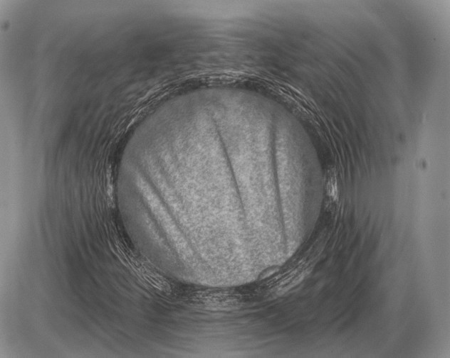 X0000085001252200703191041