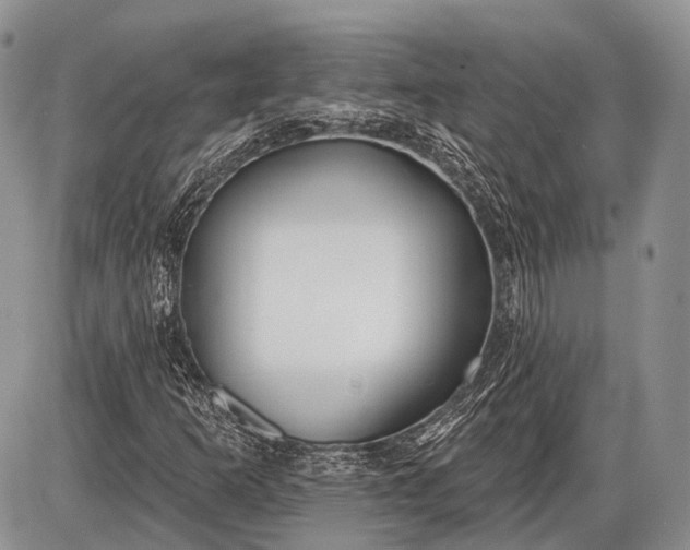 X0000085001253200703191041