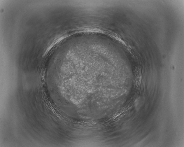 X0000085001255200703191041