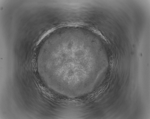 X0000085001256200703191041