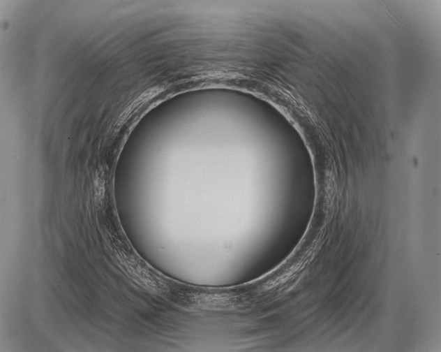 X0000085001257200703191041