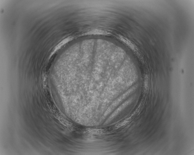 X0000085001258200703191041