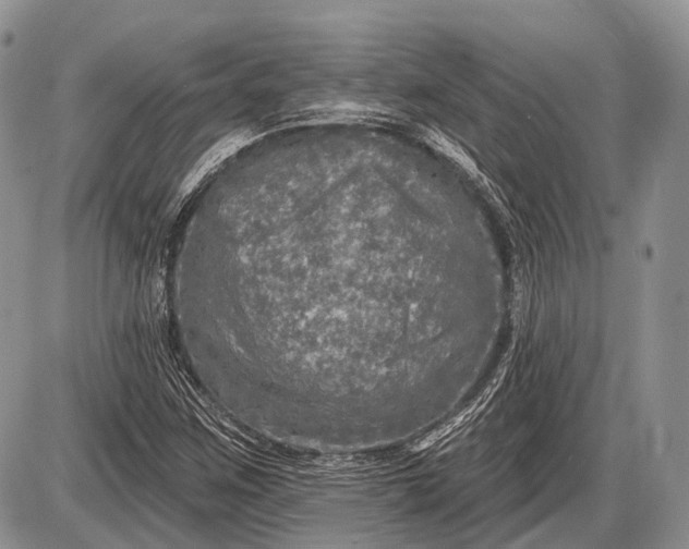 X0000085001259200703191041