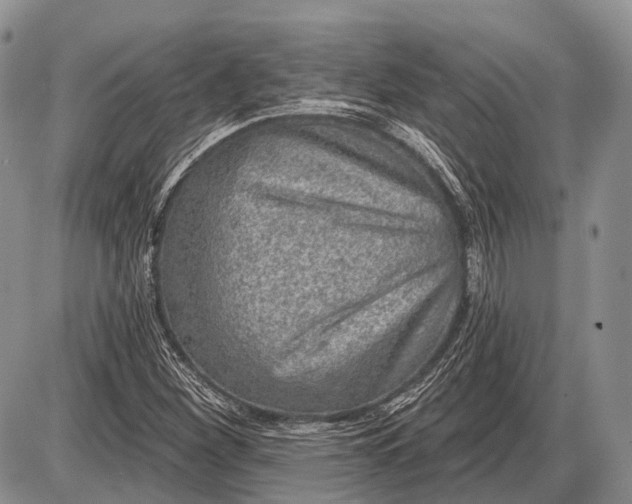 X0000085001260200703191041