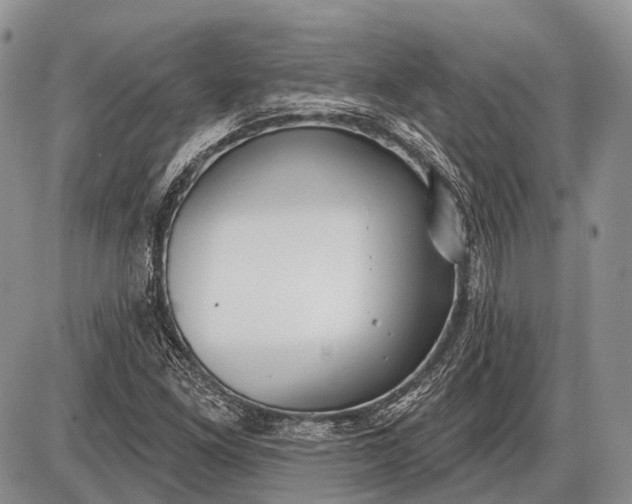 X0000085001261200703191041