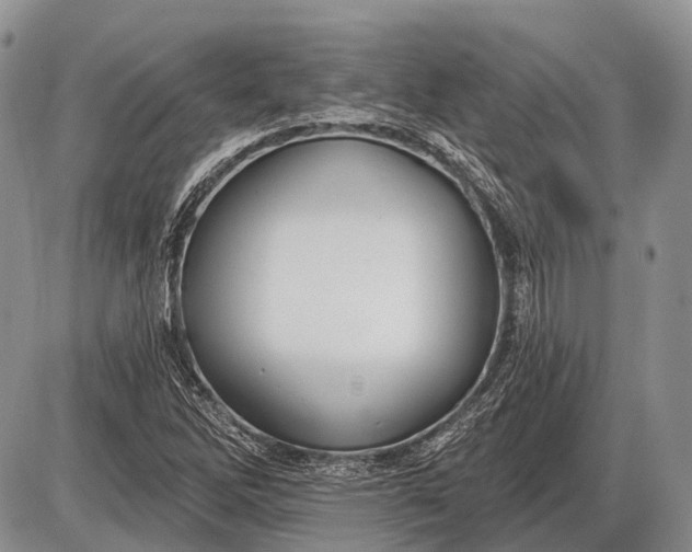 X0000085001262200703191041