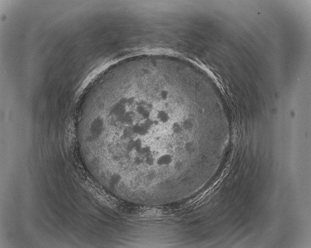 X0000085001263200703191041