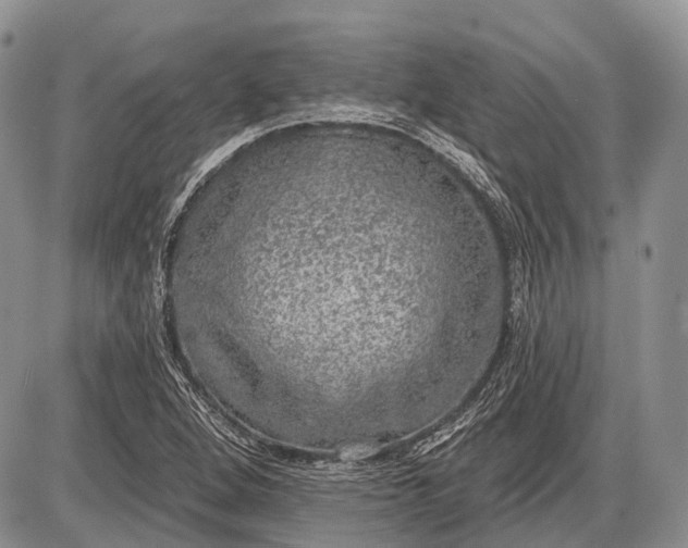 X0000085001264200703191041