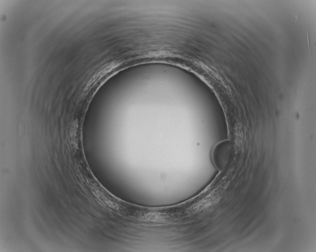 X0000085001265200703191041