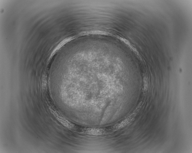 X0000085001266200703191041