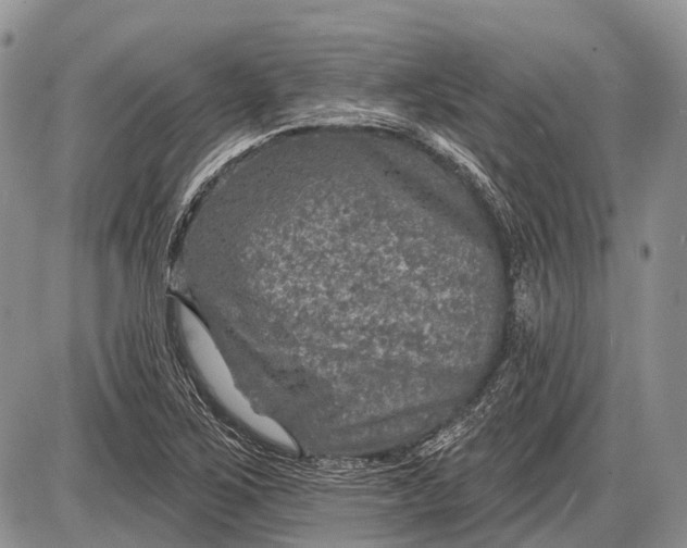 X0000085001267200703191041