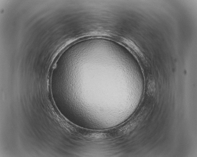 X0000085001268200703191041