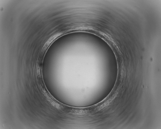 X0000085001273200703191040