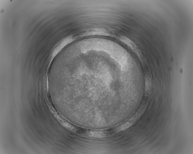 X0000085001274200703191040