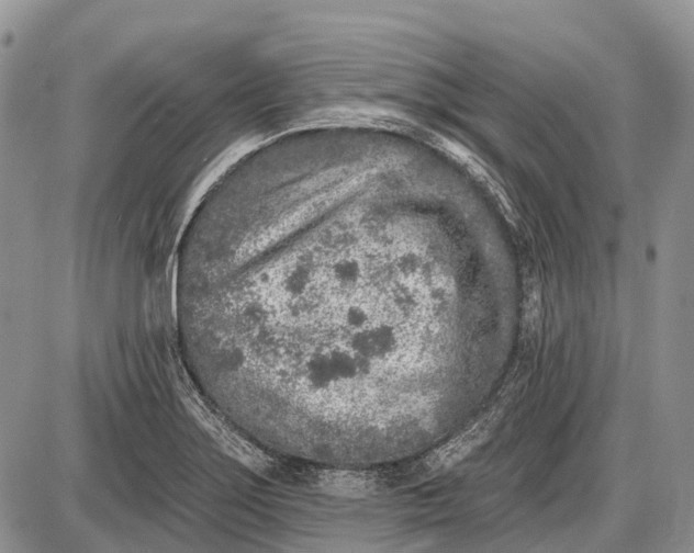 X0000085001275200703191040