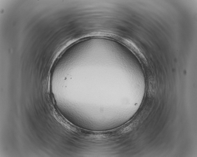 X0000085001276200703191040