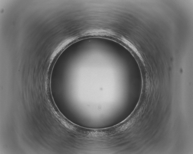 X0000085001277200703191040