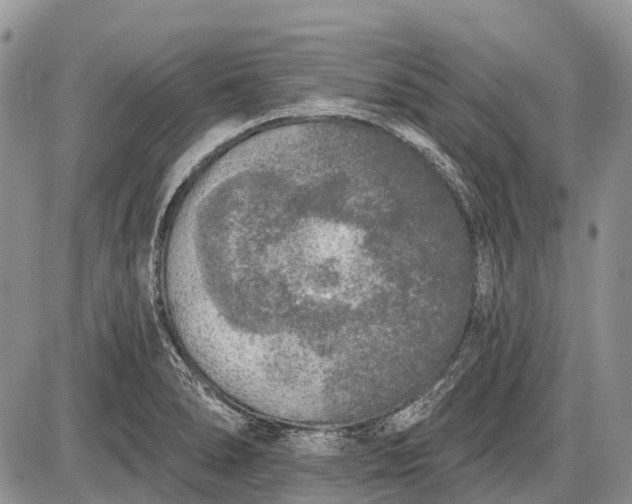 X0000085001278200703191040