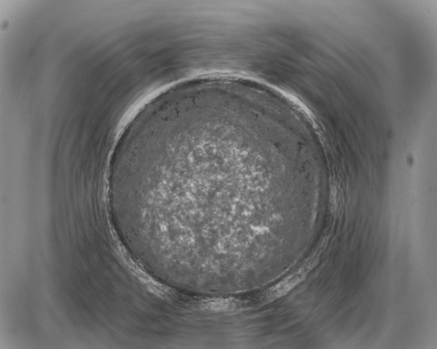 X0000085001279200703191040