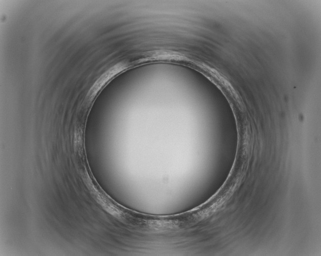 X0000085001281200703191040