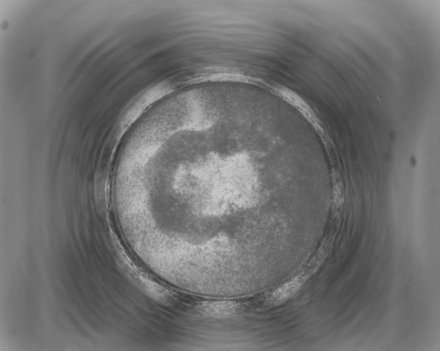 X0000085001282200703191040