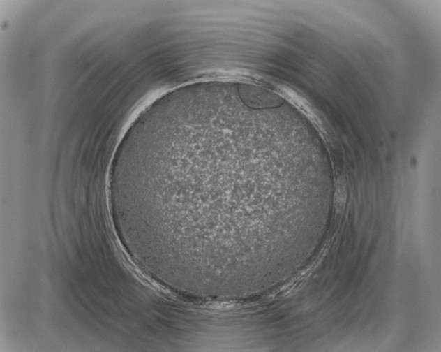 X0000085001283200703191040