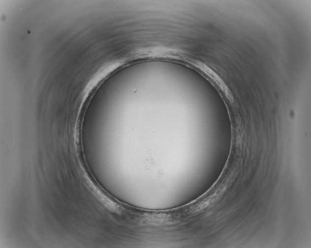 X0000085001285200703191040