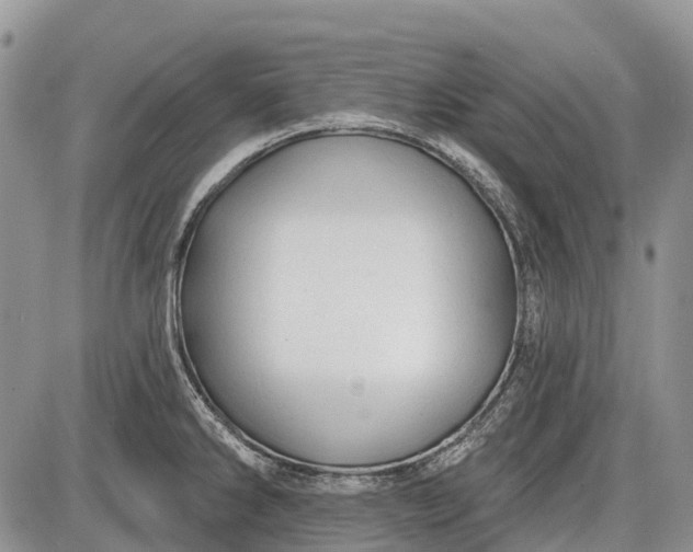 X0000085001286200703191040