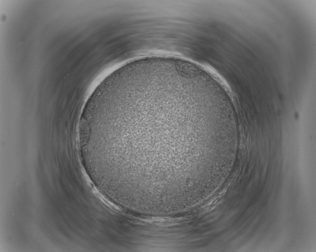 X0000085001287200703191040