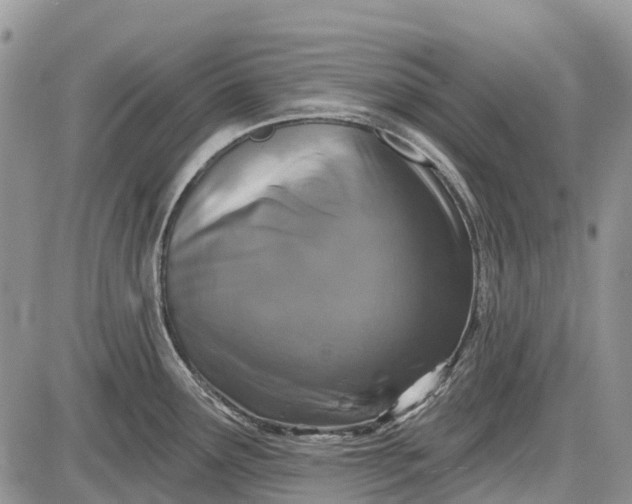 X0000085001291200703191040