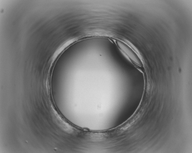 X0000085001293200703191040