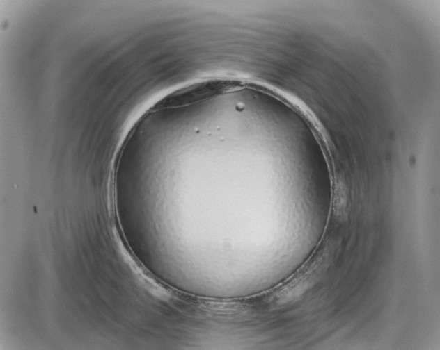 X0000085001295200703191040