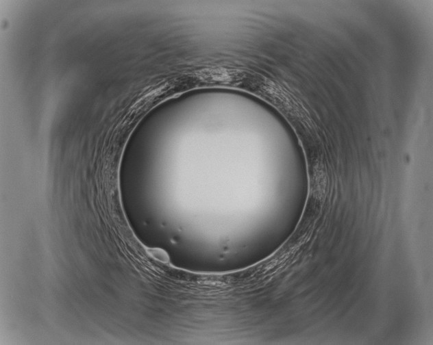 X0000085001297200703191039