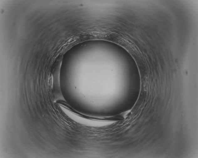 X0000085001298200703191039