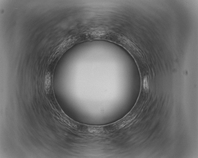 X0000085001299200703191039