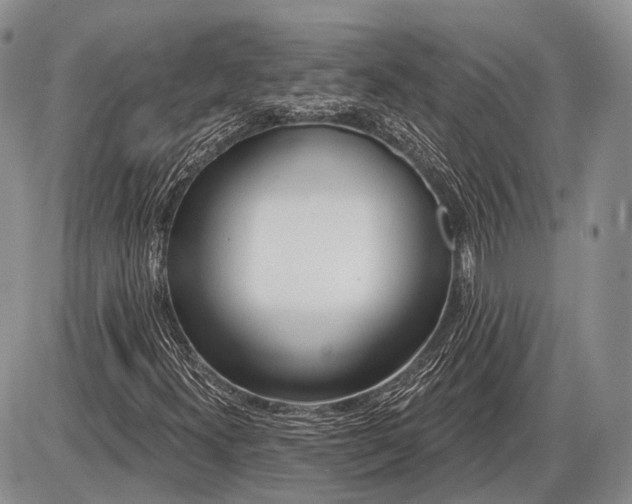 X0000085001300200703191039